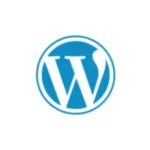 wordpress freelance digital marketing analyst in ajman